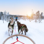 10 außergewöhnliche Winter-Abenteuer in Deutschland Husky-Tour_shutterstock_2136041339_1500x1000