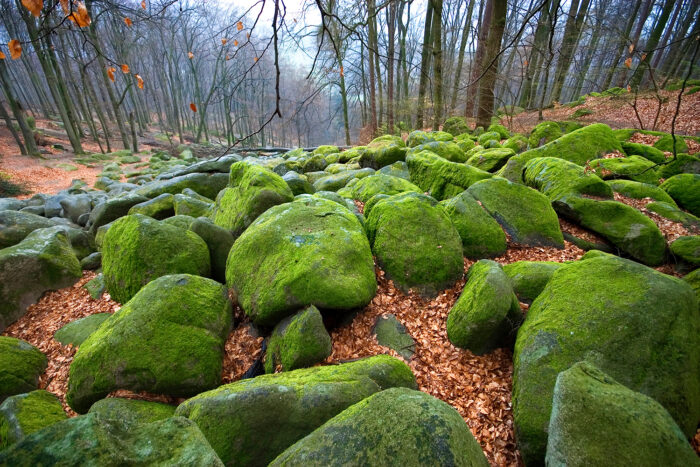 Moosüberwucherte Felsen im Felsenmeer im Odenwald, Baden-Württemberg