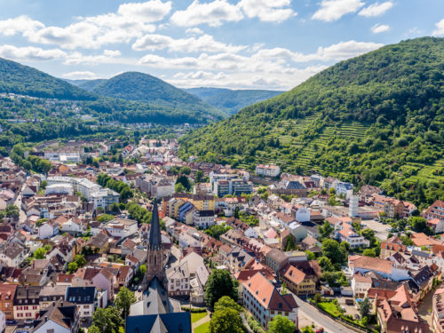 Panorama: Neustadt an der Weinstraße, Pfalz