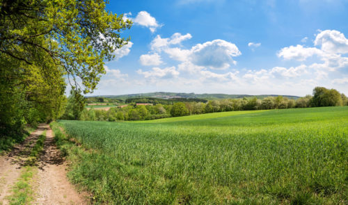 Wanderweg durch malerische Landschaften im Saarland