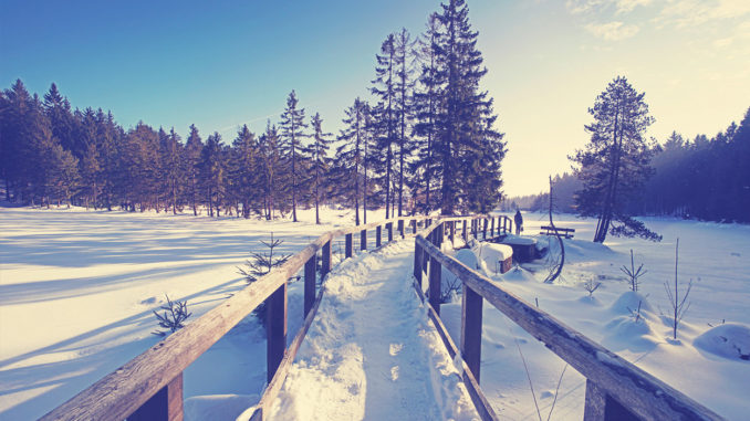 Thüringer Wald - Wandern im Winter