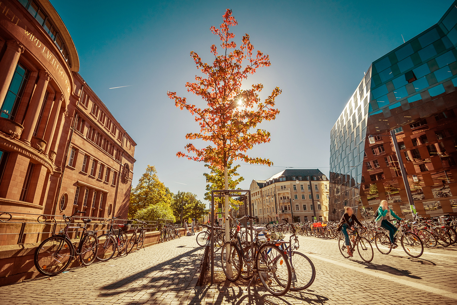 Fahrräder in Freiburg vor der Universität
