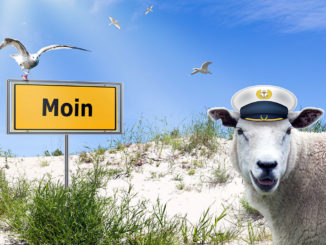 Urlaubsregion Ostfriesland an der Nordsee: Moin!